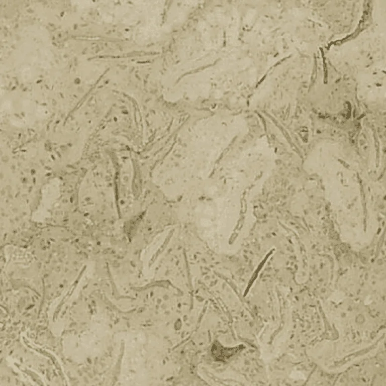 Travera